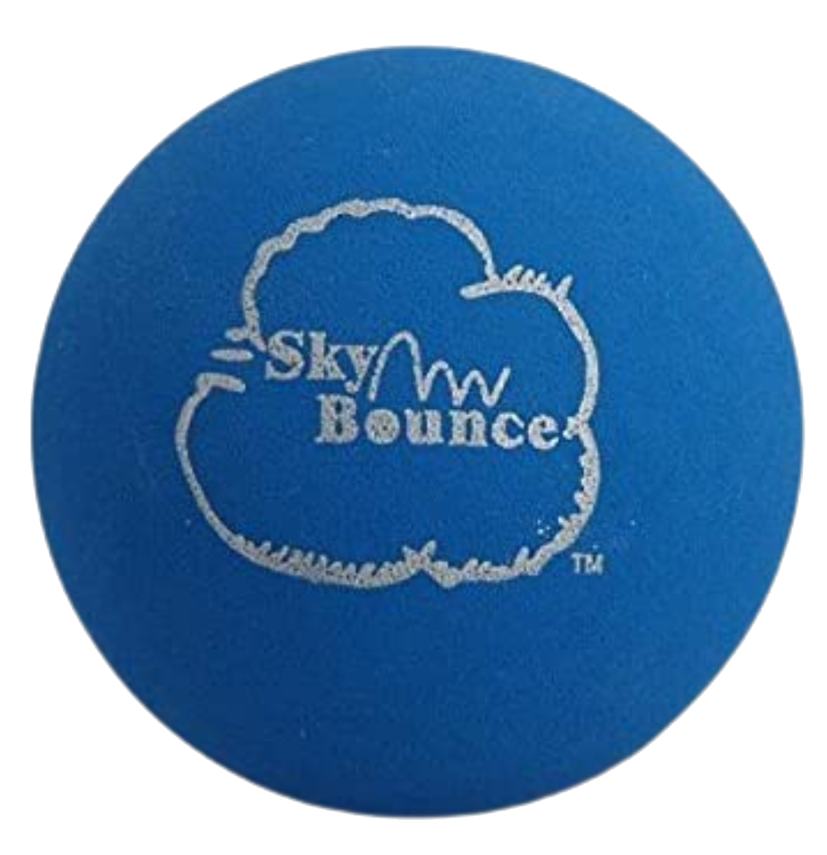  SKY Bounce Rubber HAND BALL Racquetball Stickball Catch Fetch Color Blue 